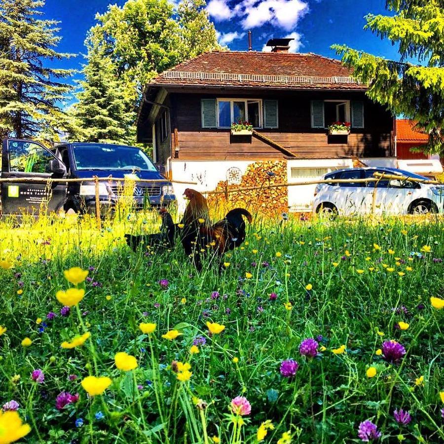 Gaestehaus Hohe Tannen Garmisch-Partenkirchen Ngoại thất bức ảnh